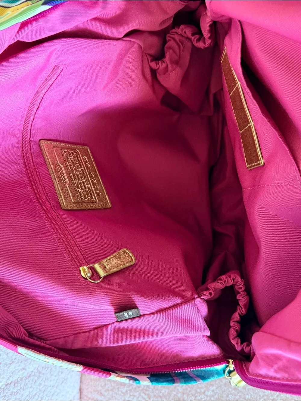 Coach Poppy Multicolor Graphic Print Backpack with Gold Hardware